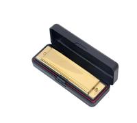 Strumenti Per Armonica Armonica A 10 Fori E 20 Note In Do Uno Strumento Di Pratica Per Principianti(Gold)