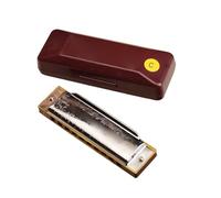 Strumenti Per Armonica Armonica a bocca a 10 fori in Do per principianti da imparare e suonare in modo indipendente