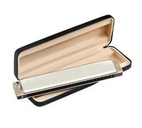 Strumenti Per Armonica Armonica Diatonica A 24 Fori Uno Strumento Per Imparare A Suonare Per Gli Adulti