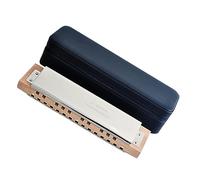 Strumenti Per Armonica Cromatica Chiave C Armonica Per Basso A 25 Fori Con Custodia Armonica Strumento Musicale