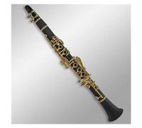 Strumenti Per Clarinetto Con Corpo In Bachelite Tono Eb 17 Tasti Con Custodia E Accessori