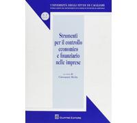 Strumenti per il controllo economico e finanziario nelle imprese
