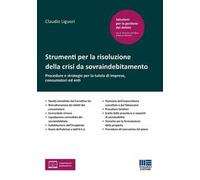 Strumenti per la risoluzione della crisi da sovraindebitamento. Procedure e strategie per la tutela di imprese, consumatori ed enti