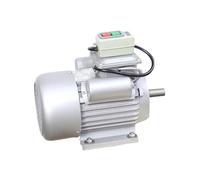 Strumenti Professionali Per La Liuteria Motore Lucidatore Per Strumenti Musicali Da 750 W Strumento Per La Riparazione Di Chitarre