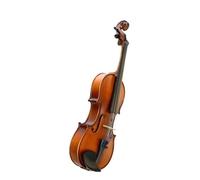 Strumento A Corda Professionale Opaco Per La Costruzione Di Violini In Abete 4/4 Violino(1/10)