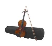 Strumento A Corde Per Violino Elettrico Acustico 4/4 Con Superficie In Acero E Accessori Per Principianti (Color : Violin)