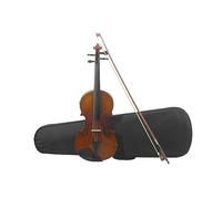 Strumento A Corde Per Violino Elettrico Acustico A Grandezza Naturale 4/4 Con Accessori Per Principianti (Color : Violin)