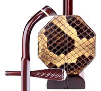 Strumento A Corde Tradizionale Cinese In Palissandro Erhu Ottagonale Regolare Con Custodia E Accessori Professionale Erhu