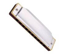 Strumento a fiato armonica blues diatonica in metallo resistente a 10 fori(B)