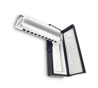 Strumento a fiato professionale per arpa folk blues con armonica diatonica a 10 fori Set Di Armonica(D)