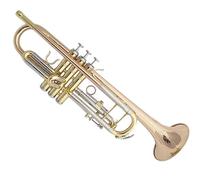 Strumento A Tromba In Corno Di Bronzo Fosforoso In Si Bemolle Per Principianti Che Vogliono Suonare La Tromba Con Tasti Flessibili Principianti Ottone Tromba