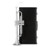 Strumento A Tromba In Ottone Si Bemolle Adulto Esame Di Ammissione Alla Scuola Media Professionale Che Suona La Chiave Sib (Color : Silver)