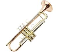 Strumento A Tromba In Si Bemolle Con Corpo In Bronzo Fosforoso Per Principianti E Gruppi Musicali Professionali