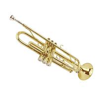 Strumento A Tromba In Si Bemolle Per Gli Studenti Che Vogliono Imparare Uno Strumento A Tromba Entry-level Per Principianti Principianti Ottone Tromba