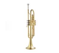 Strumento A Tromba Per Principianti In Si Bemolle Che Suona Tromba In Ottone Laccato Oro Per L'esame Di Grado