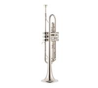 Strumento A Tromba Per Principianti Per Suonare Uno Strumento A Fiato Per Adulti In Ottone Laccato Oro Si Bemolle (Color : White silver)