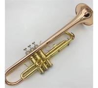 Strumento A Tromba Professionale Per Principianti Per Suonare La Tromba Per Mano Sinistra In Bronzo Fosforoso Placcato Oro Con Impugnatura Inversa