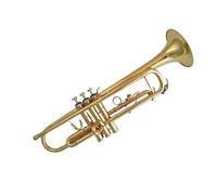 Strumento A Tromba Professionale Strumento A Tromba In Si Bemolle Per Principianti Set Completo Di Accessori