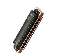 Strumento ad ancia armonica per arpa blues con chiave ab a 10 fori Armonica Per Principianti