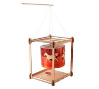 Strumento apprendimento per scienze fisiche Set assemblaggio zootropio in legno Esperimenti a casa o a scuola Set educativo zootropio per bambini