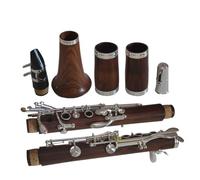 Strumento clarinetto in si bemolle Principianti che suonano il clarinetto