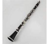 Strumento Clarinetto Professionale B Flat Tune Strumenti A Fiato Professionali Clarinetto Tubo Nero Con Custodia Accessori Strumento A Fiato
