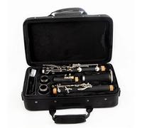 Strumento Clarinetto Professionale B Flat Tune Strumenti A Fiato Professionali Clarinetto Tubo Nero Con Custodia Accessori Strumento Professionale Per Principianti