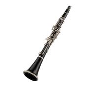 Strumento Clarinetto Professionale B-Flat Tune Strumenti A Fiato Professionali Clarinetto Tubo Nero con Custodia Accessori Amanti della Musica per Principianti
