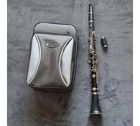 Strumento Clarinetto Professionale B Flat Tune Strumenti A Fiato Professionali Clarinetto Tubo Nero Con Custodia Accessori Strumenti Per Principianti