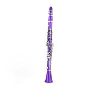 Strumento Clarinetto Professionale Clarinetto B Per Studenti Principianti Clarinetto Piatto B Clarinetto 17 Tasti Con Custodia E Cinturino 2 Barili(Purple)