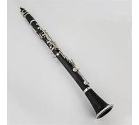 Strumento Clarinetto Professionale Clarinetto BB Professionale Clarinetto In Bachelite Strumento Con Chiavi In nichel Argento Con Custodia