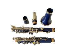 Strumento Clarinetto Professionale Clarinetto Blu In Si Bemolle Clarinetto In ABS 17 Tasti Per Principianti Con Buona Qualità Del Suono