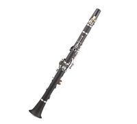 Strumento Clarinetto Professionale Clarinetto C-tune Bachelite Tubo Nero Strumento A Fiato Standard Regalo Per Principianti