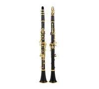 Strumento Clarinetto Professionale Clarinetto Cadente Melodia B 17 Clarinetto SIB/clarinetto in Materiale Corpo ABS(B)