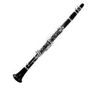 Strumento Clarinetto Professionale Clarinetto Falling Tune B Clarinetto Clarinetto In Legno Di Ebano Tubo 17 Tasti Clarinetto YCL-500