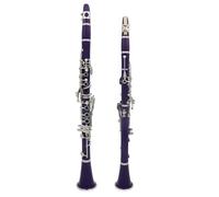 Strumento Clarinetto Professionale Clarinetto In Sib A Colori 17 Tasti 6 Anelli Pratica Di Gioco Del Clarinetto Per Amanti Della Musica/principianti(Purple)