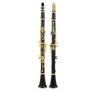 Strumento Clarinetto Professionale Clarinetto In Sib Laccato Oro 17 Tasti Clarinetto Sib Clarinetto Nero RCL-700NQ