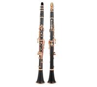 Strumento Clarinetto Professionale Clarinetto In Sib Laccato Oro Rosa 17 Tasti Clarinetto Sib Clarinetto Nero RCL-700NF