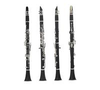 Strumento Clarinetto Professionale Clarinetto In Sib Nero 17 Tasti 6 Anelli Clarinetto Pratica Per Principianti