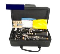 Strumento Clarinetto Professionale Clarinetto In Sib Per Principianti Clarinetto In Sib A 17 Chiavi/Clarinetto In Materiale Corpo In ABS