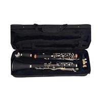 Strumento Clarinetto Professionale Clarinetto Professionale G Tune A 18 Tasti Materiale Corpo In Resina ABS Tasti Nichelati