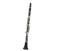 Strumento Clarinetto Professionale Clarinetto Tubo In Gomma Nero Tubo Esame Di Qualità Principiante Avanzato Prestazioni Orchestrali 18 Tasti Placcato Argento