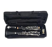 Strumento Clarinetto Professionale G Tune Clarinetto A 20 Tasti Materiale Corpo In Resina ABS Tasti Nichelati