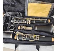 Strumento Clarinetto Professionale Pratica Professionale Per Principianti Che Suona Lo Strumento Clarinetto Un Clarinetto A Chiave Con Tubo In Gomma Dura