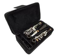 Strumento Clarinetto Professionale Strumento A Fiato Standard Clarinetti In Sib In Legno Di Ebano Clarinetti Professionali Maggiori Chiavi Placcate In Argento 17