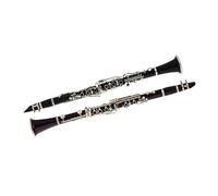 Strumento Clarinetto Professionale Strumento Clarinetto Clarinetto In Sib 17 Tasti Corpo In ABS Principiante Adulto Prestazioni Professionali