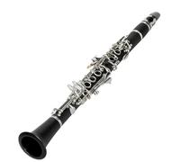 Strumento Clarinetto Professionale Strumento di Livello Principiante Clarinetto in Mi Bemolle Acuto Clarinetto in Mi Bemolle Clarinetto per Principianti per Adulti