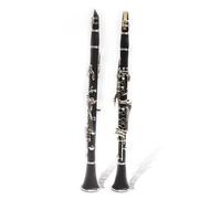 Strumento Clarinetto Professionale Strumento Per Clarinetto Banda Per Esame Di Grado Principiante Che Suona Il Clarinetto A Fiato In Si Bemolle