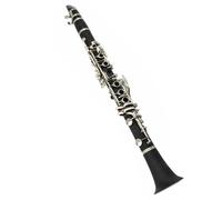 Strumento clarinetto Saxophone in mi bemolle Uno strumento clarinetto adatto a studenti e principianti Clarinetto Professionale