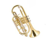 Strumento Cornetta Professionale In Sib In Ottone Argentato Tromba Professionale